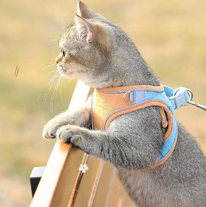 Brustgeschirr mit reflektierender Leine – atmungsaktiv, gepolstert & sicher – für Hunde & Katzen🐾