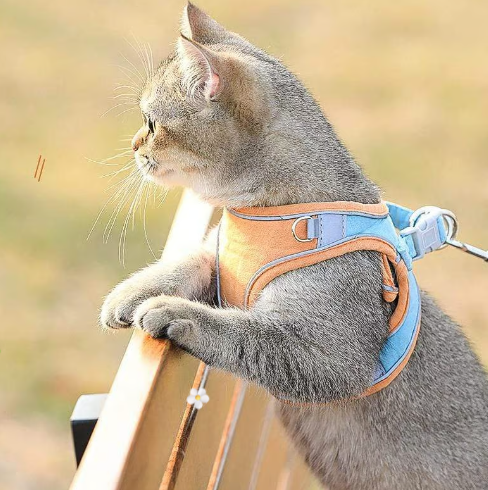Brustgeschirr mit reflektierender Leine – atmungsaktiv, gepolstert & sicher – für Hunde & Katzen🐾