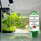 🎁✨Buy 3 Get 5 Free (8 bottles)🚀Free Shipping🔥Powerful Aquarium Water Purification Tablet