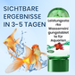 🎁✨Buy 3 Get 5 Free (8 bottles)🚀Free Shipping🔥Powerful Aquarium Water Purification Tablet