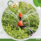 🌱 50% RABATT! 💧 Automatisches Sprühnebel-Bewässerungssystem – Nebelgekühlt, einstellbar & effizient – Perfekt für Pflanzen, Gewächshäuser & Terrassen 🌿