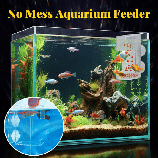 📢📢50% OFF !!⏰⏰Aquarium Feeding Ring and Tray