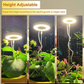 LED-Engelsring-Pflanzenwachstumslampe