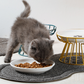 🐱 50% RABATT! 🥣 Erhöhter Keramik-Katzennapf mit Eisenständer – Schont Die Haltung, Rutschfest & Ideal Für Trocken- & Nassfutter 🐈