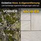 Intensiv-Steinreiniger für Terrassen und Wege