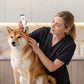 ❄️Sommerfrische 50 % Rabatt!🐶Sanfte Ohrreinigungslösung für Hunde & Katzen – 120 ml mit weicher Silikonspitze